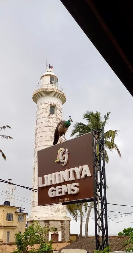 The Galle Experience