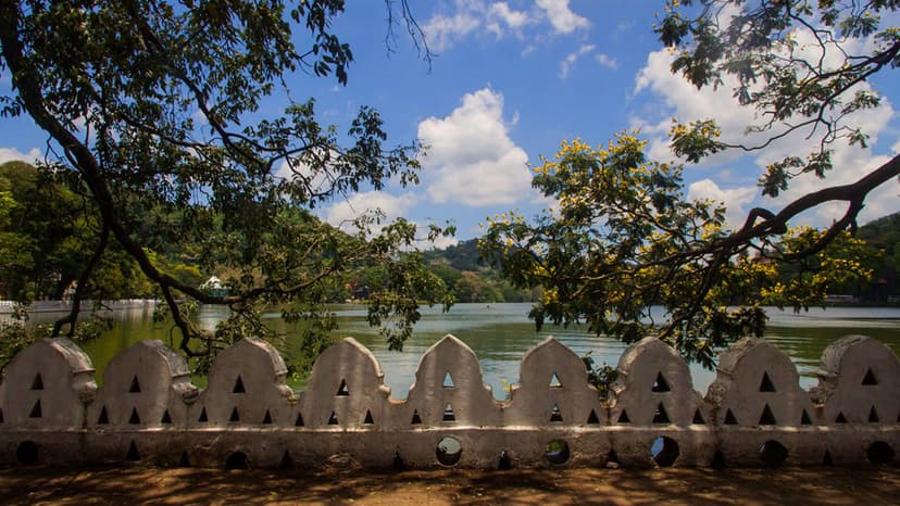 Lakeside Meditation Walk